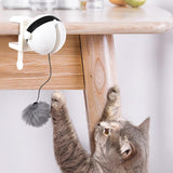 Electronic Motion Cat Toy Interactive Cat Teaser